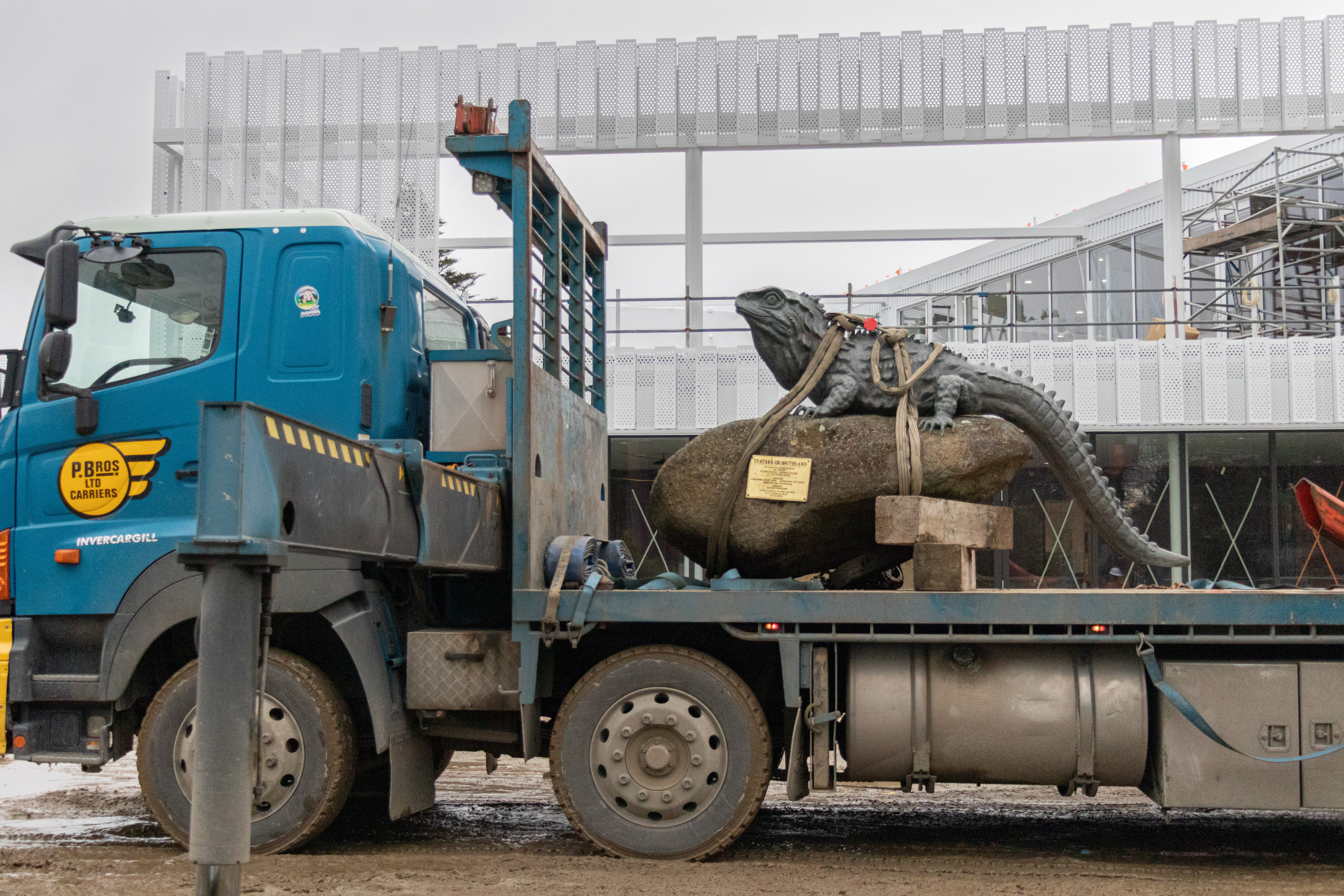 A tuatara statue is moved by a truck, away from the construction site, to temporary storage.