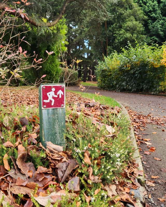 A sign showing an arrow and a running person points to a path surrounded by trees. 