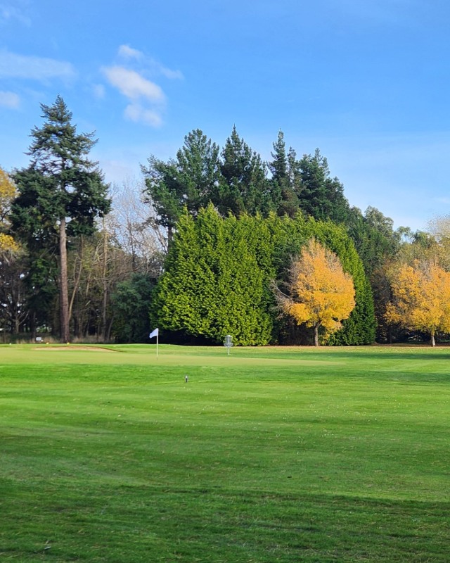 A green lawn with a golf flag and a backdrop of green and yellow trees. 