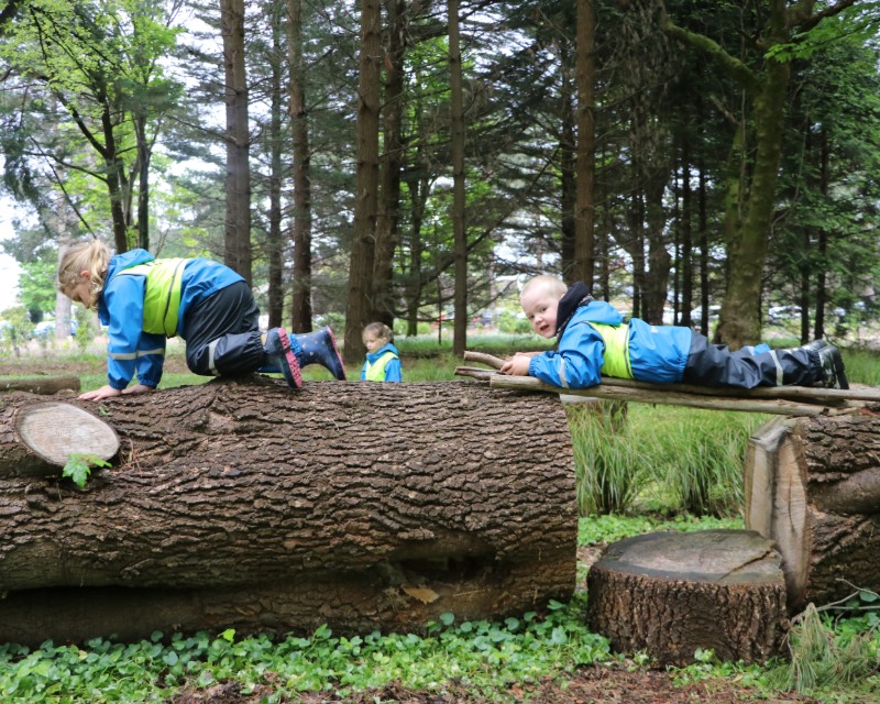 Children playing on logs among trees.