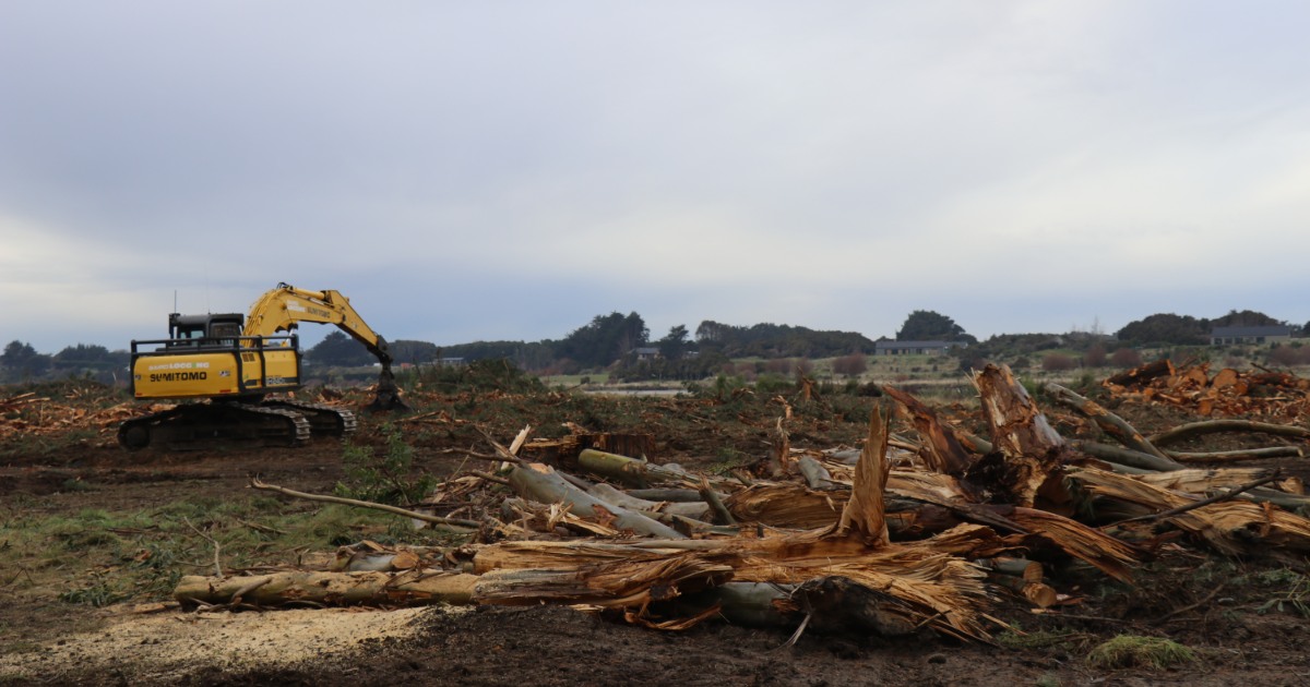 Yellow excavator clearing felled trees and branches from a large site under an overcast sky.